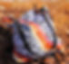 Tote Pilbara Country Artist Cassandra Hi